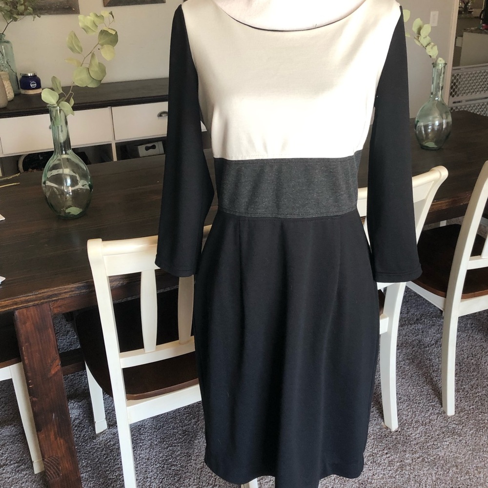 Professional dress
